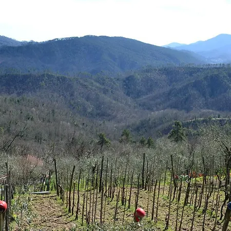 La Casa In Collina Dalla Maye * Beverino